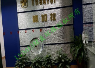 新加坡德加拉投資公司治理工程